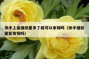 快手上面播放量多了就可以拿钱吗（快手播放量能有钱吗）