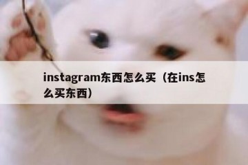 instagram东西怎么买（在ins怎么买东西）