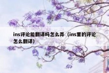 ins评论能翻译吗怎么弄（ins里的评论怎么翻译）