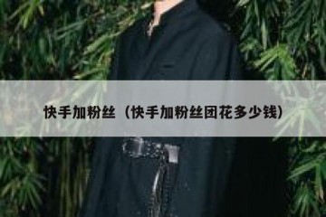 快手加粉丝(快手加粉丝团花多少钱)