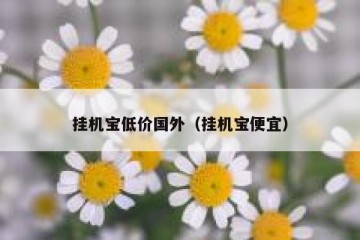 挂机宝低价国外（挂机宝便宜）