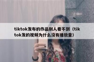 tiktok发布的作品别人看不到（tiktok发的视频为什么没有播放量）