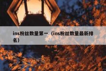 ins粉丝数量第一（ins粉丝数量最新排名）