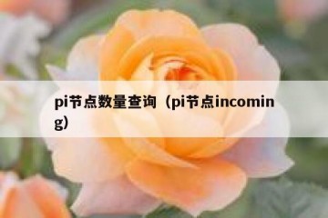 pi节点数量查询（pi节点incoming）