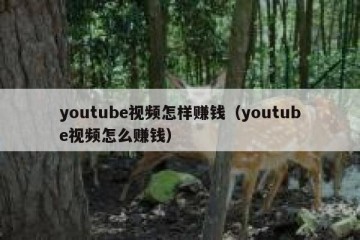 youtube视频怎样赚钱（youtube视频怎么赚钱）