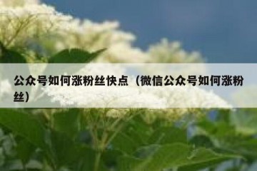 公众号如何涨粉丝快点（微信公众号如何涨粉丝）