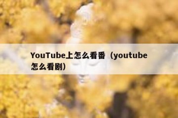 YouTube上怎么看番（youtube怎么看剧）