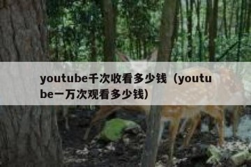 youtube千次收看多少钱（youtube一万次观看多少钱）