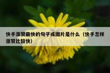快手涨赞最快的句子或图片是什么（快手怎样涨赞比较快）