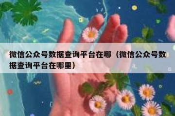 微信公众号数据查询平台在哪（微信公众号数据查询平台在哪里）