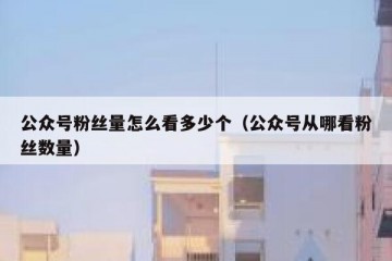 公众号粉丝量怎么看多少个（公众号从哪看粉丝数量）