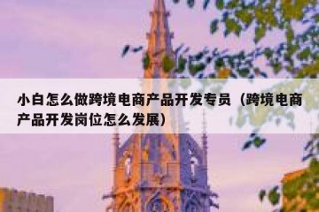 小白怎么做跨境电商产品开发专员（跨境电商产品开发岗位怎么发展）