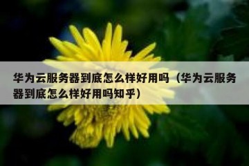 华为云服务器到底怎么样好用吗（华为云服务器到底怎么样好用吗知乎）