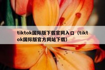 tiktok国际版下载官网入口（tiktok国际版官方网站下载）