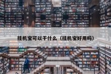 挂机宝可以干什么（挂机宝好用吗）