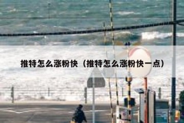 推特怎么涨粉快（推特怎么涨粉快一点）