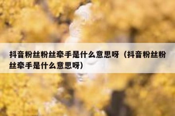 抖音粉丝粉丝牵手是什么意思呀（抖音粉丝粉丝牵手是什么意思呀）