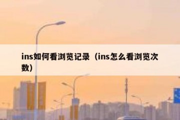 ins如何看浏览记录（ins怎么看浏览次数）