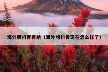 海外版抖音有啥（海外版抖音现在怎么样了）