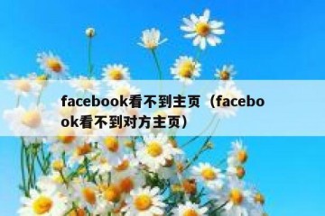 facebook看不到主页（facebook看不到对方主页）