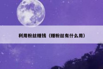 利用粉丝赚钱（赚粉丝有什么用）