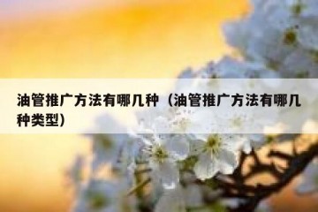 油管推广方法有哪几种（油管推广方法有哪几种类型）