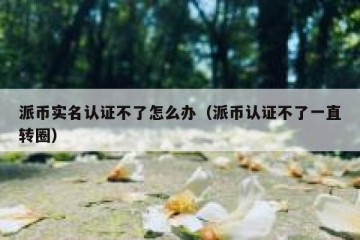 派币实名认证不了怎么办（派币认证不了一直转圈）