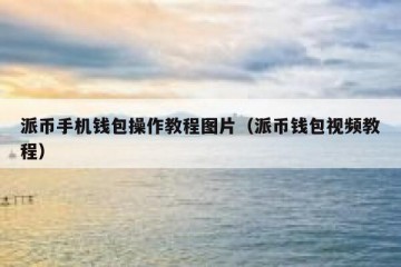 派币手机钱包操作教程图片（派币钱包视频教程）