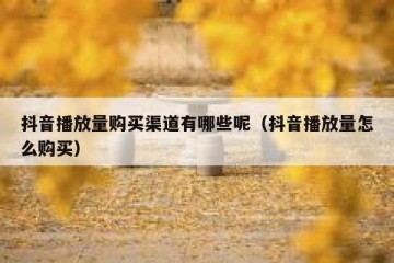 抖音播放量购买渠道有哪些呢（抖音播放量怎么购买）