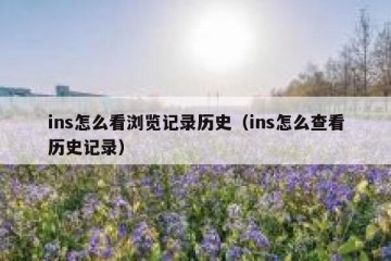 ins怎么看浏览记录历史（ins怎么查看历史记录）