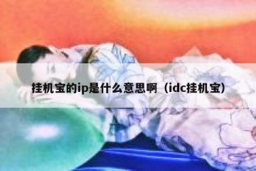 挂机宝的ip是什么意思啊（idc挂机宝）