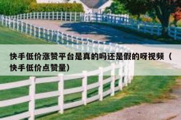 快手低价涨赞平台是真的吗还是假的呀视频（快手低价点赞量）