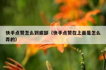 快手点赞怎么到底部(快手点赞在上面是怎么弄的)