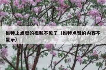 推特上点赞的视频不见了（推特点赞的内容不显示）