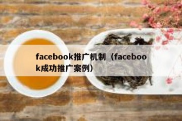 facebook推广机制（facebook成功推广案例）
