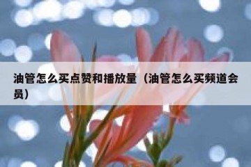 油管怎么买点赞和播放量（油管怎么买频道会员）