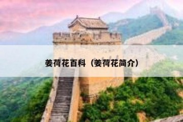 姜荷花百科（姜荷花简介）