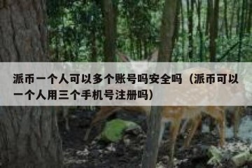 派币一个人可以多个账号吗安全吗（派币可以一个人用三个手机号注册吗）
