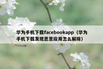 华为手机下载facebookapp（华为手机下载发现恶意应用怎么解除）