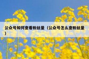 公众号如何查看粉丝量（公众号怎么查粉丝量）