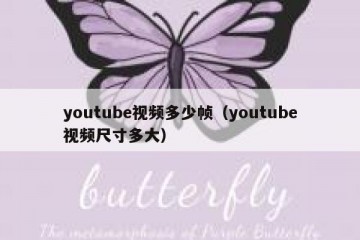 youtube视频多少帧（youtube视频尺寸多大）