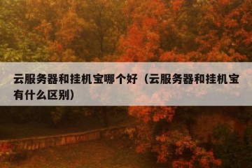 云服务器和挂机宝哪个好（云服务器和挂机宝有什么区别）