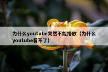 为什么youtube突然不能播放（为什么youtube看不了）