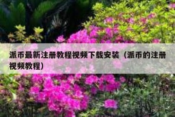 派币最新注册教程视频下载安装（派币的注册视频教程）