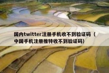 国内twitter注册手机收不到验证码（中国手机注册推特收不到验证码）