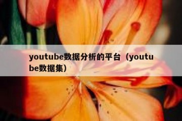 youtube数据分析的平台（youtube数据集）
