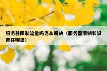 服务器限制流量吗怎么解决（服务器限制和设置在哪里）