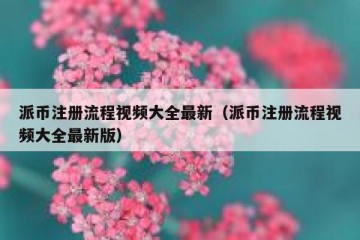 派币注册流程视频大全最新（派币注册流程视频大全最新版）