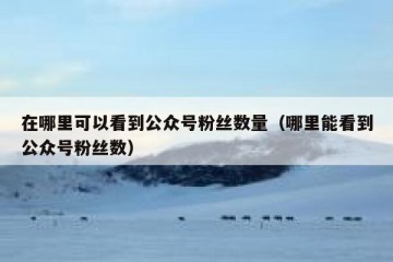 在哪里可以看到公众号粉丝数量（哪里能看到公众号粉丝数）