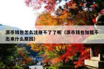 派币钱包怎么注册不了了呢（派币钱包加载不出来什么原因）